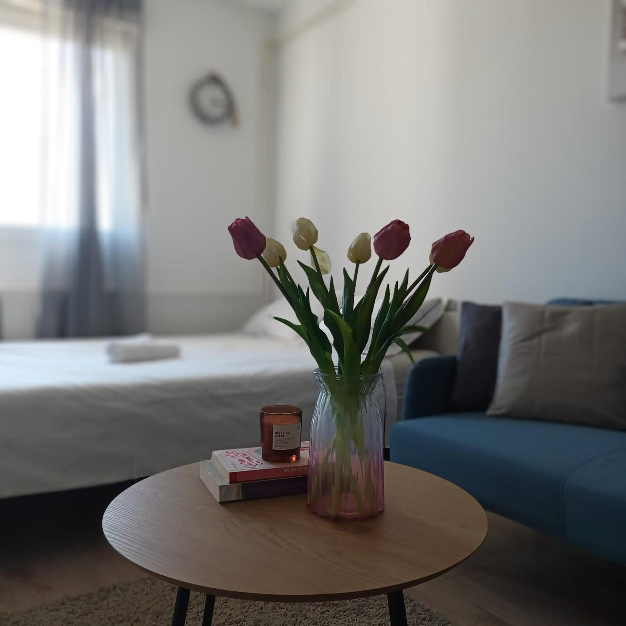 Modern Studio Near City Center Zagreb Luaran gambar