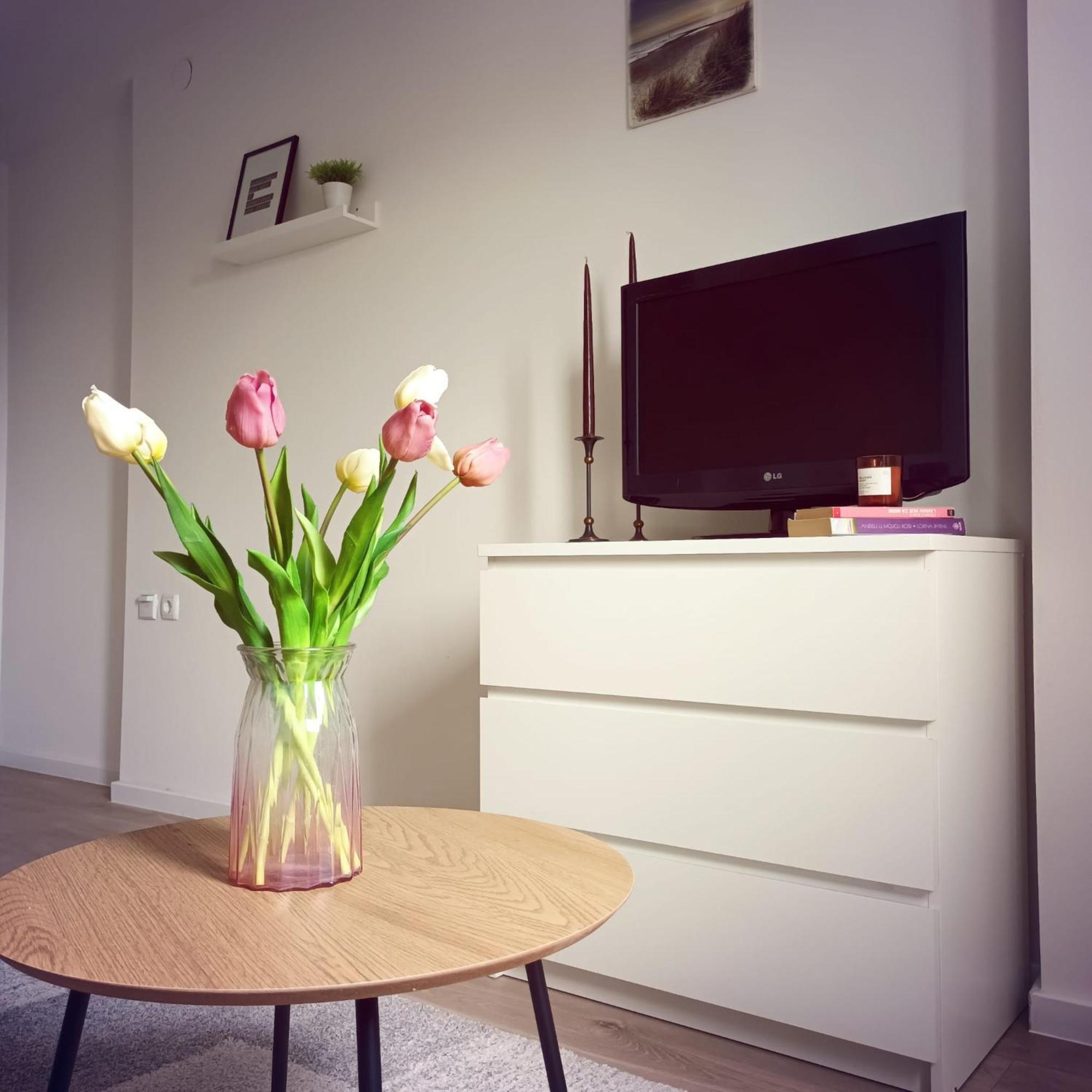 Modern Studio Near City Center Zagreb Luaran gambar